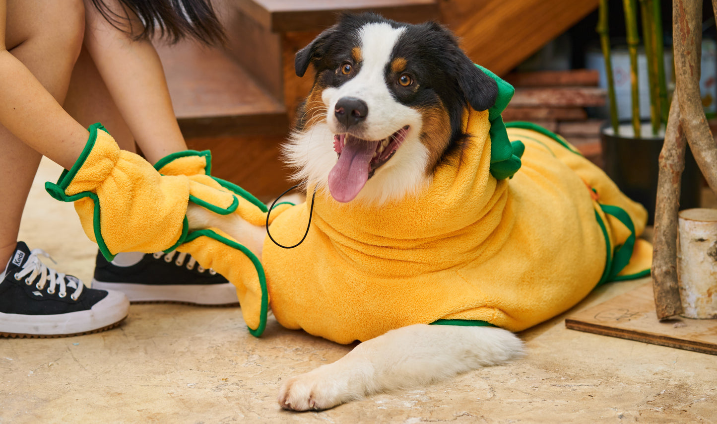 Dog Bathrobe